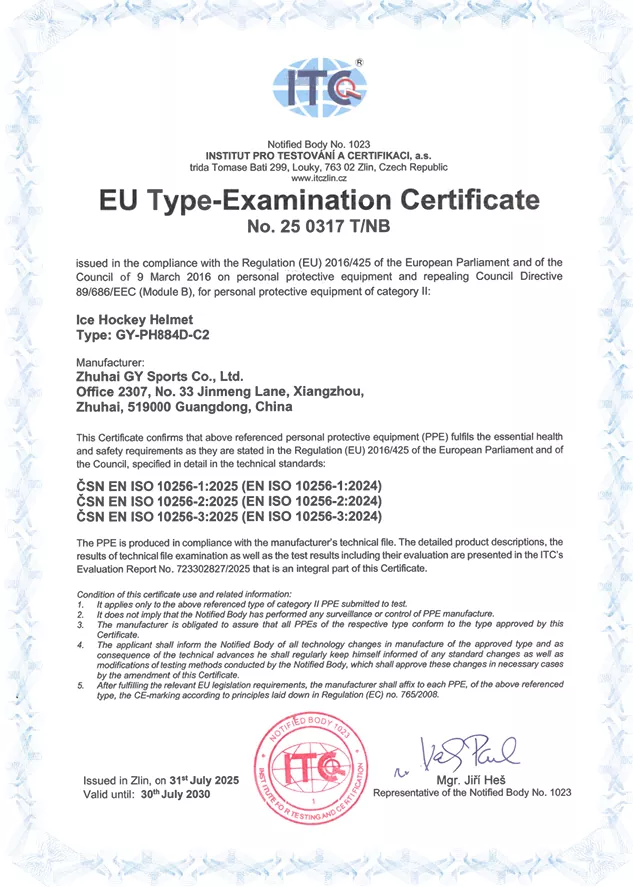 CE-Certified Ice Hockey Helmets